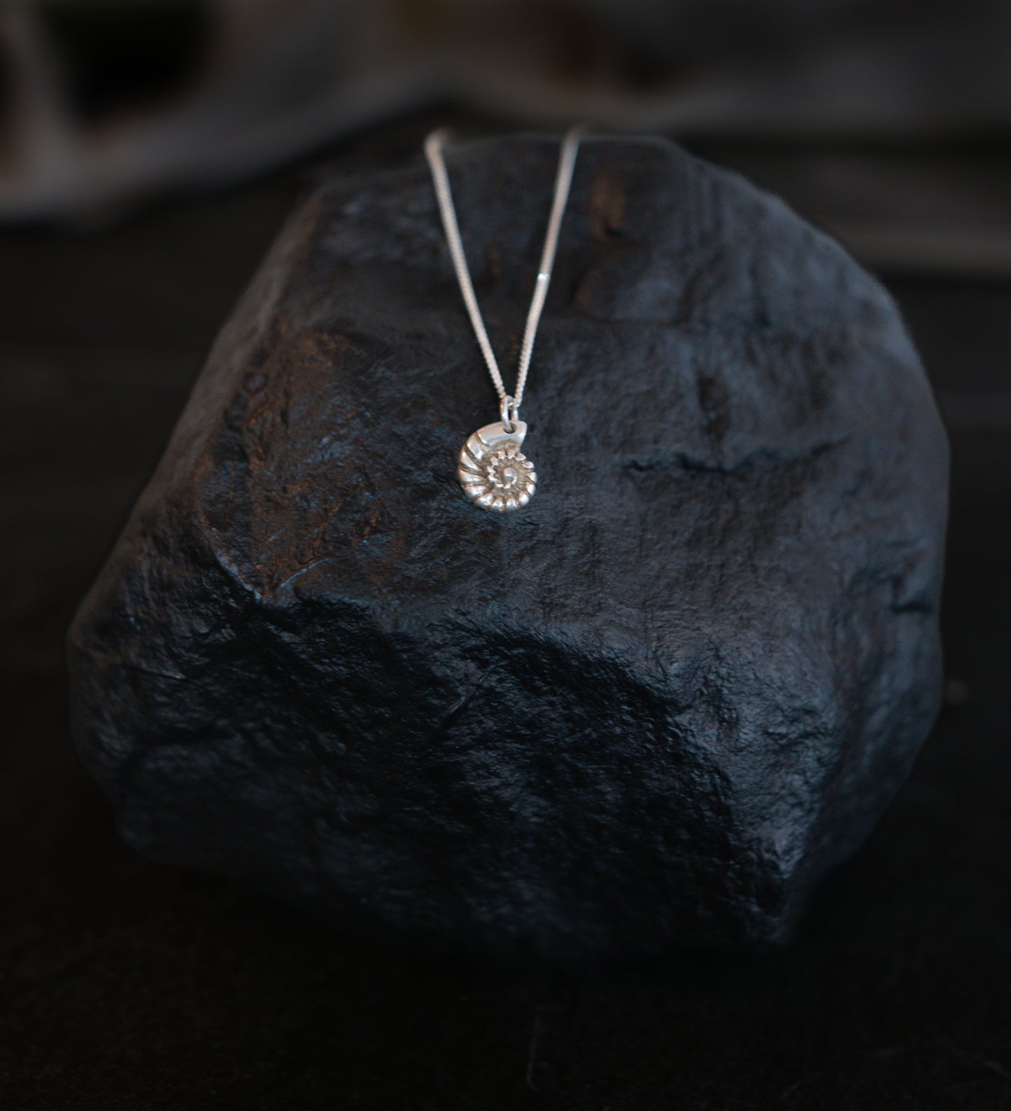 Silver Ammonite Inspired Necklace