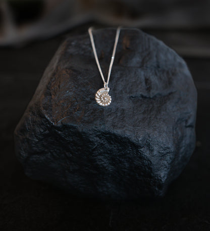 Silver Ammonite Inspired Necklace