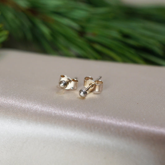 Silver Stud Earrings